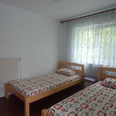 Casa Pitaru Hotel Calafat Kültér fotó