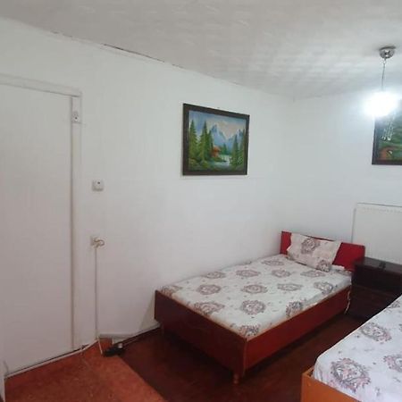Casa Pitaru Hotel Calafat Kültér fotó
